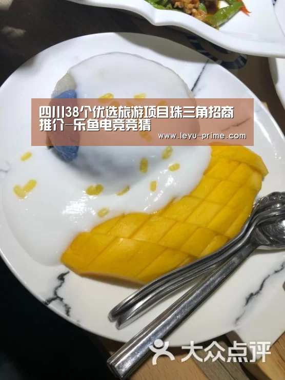 四川38个优选旅游项目珠三角招商推介-乐鱼电竞竞猜(图1) 乐鱼电竞竞猜